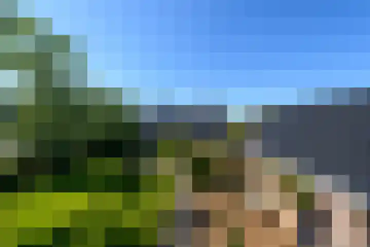 Merkebuorren 40 Wijnjewoude thumbnail 55