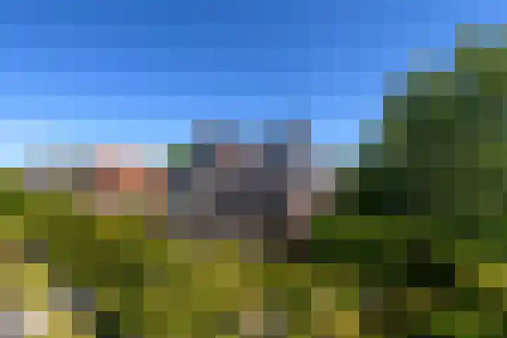 Merkebuorren 40 Wijnjewoude thumbnail 56