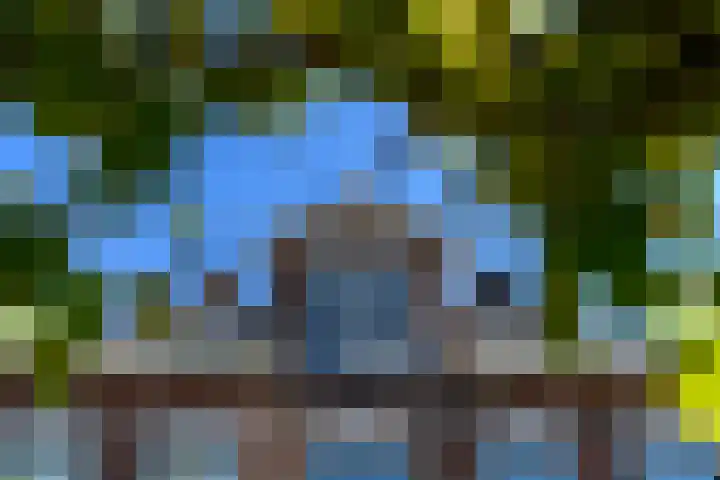 Merkebuorren 40 Wijnjewoude thumbnail 6