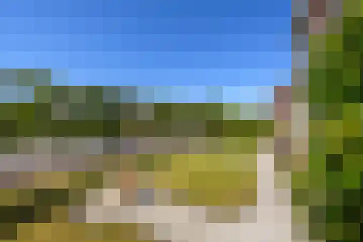 Merkebuorren 40 Wijnjewoude thumbnail 8