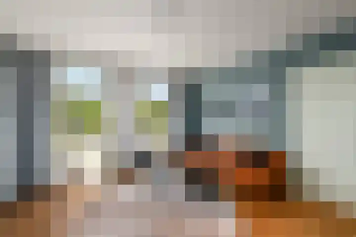 Merkebuorren 40 Wijnjewoude thumbnail 9