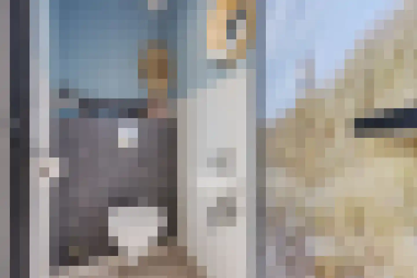 Merkebuorren 50 Wijnjewoude thumbnail 10