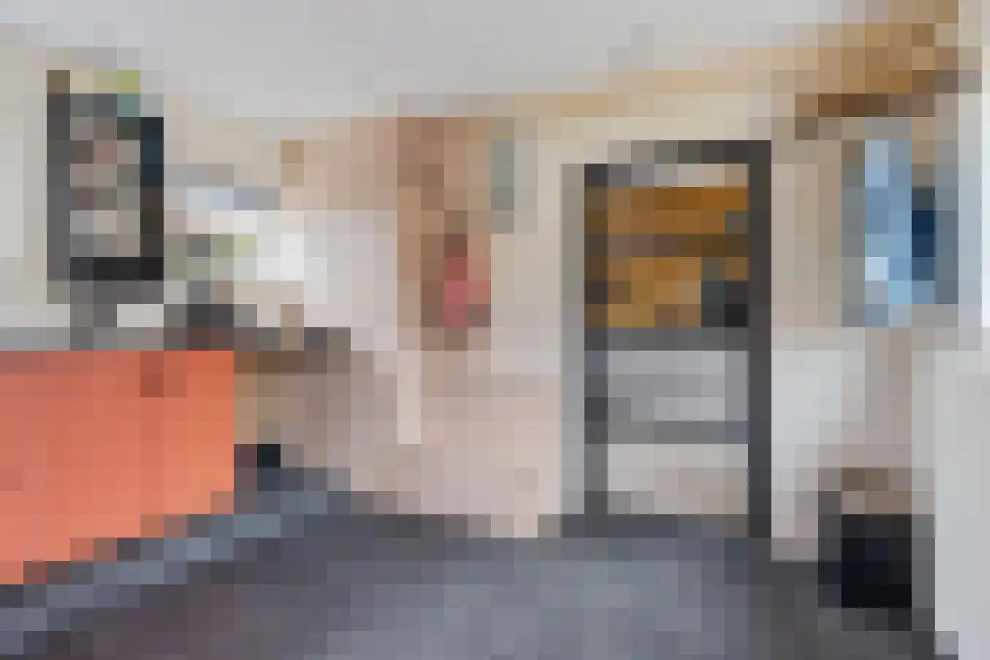 Merkebuorren 50 Wijnjewoude thumbnail 23
