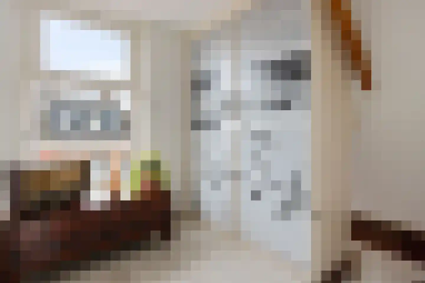 Merkebuorren 50 Wijnjewoude thumbnail 27