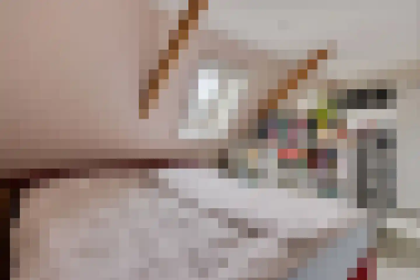 Merkebuorren 50 Wijnjewoude thumbnail 30