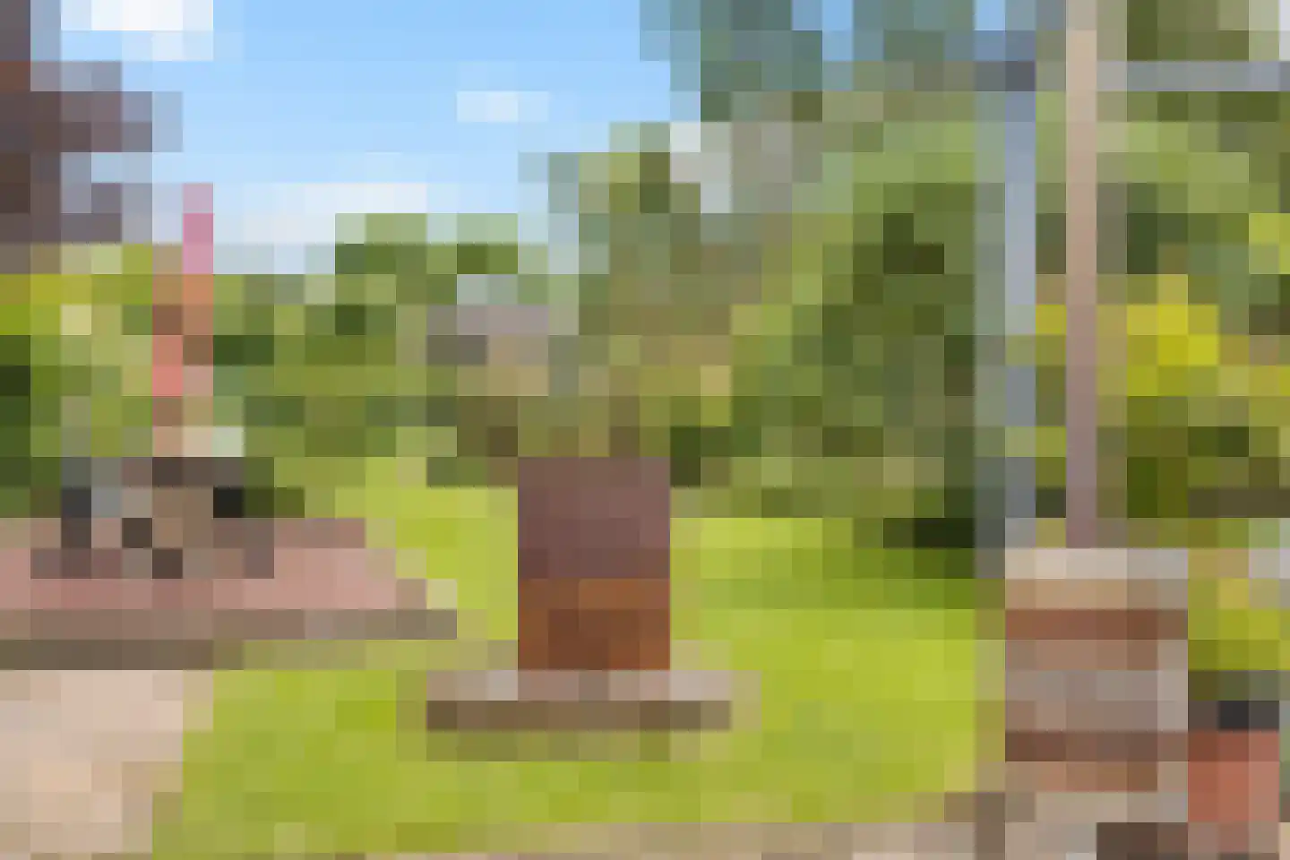 Merkebuorren 50 Wijnjewoude thumbnail 40