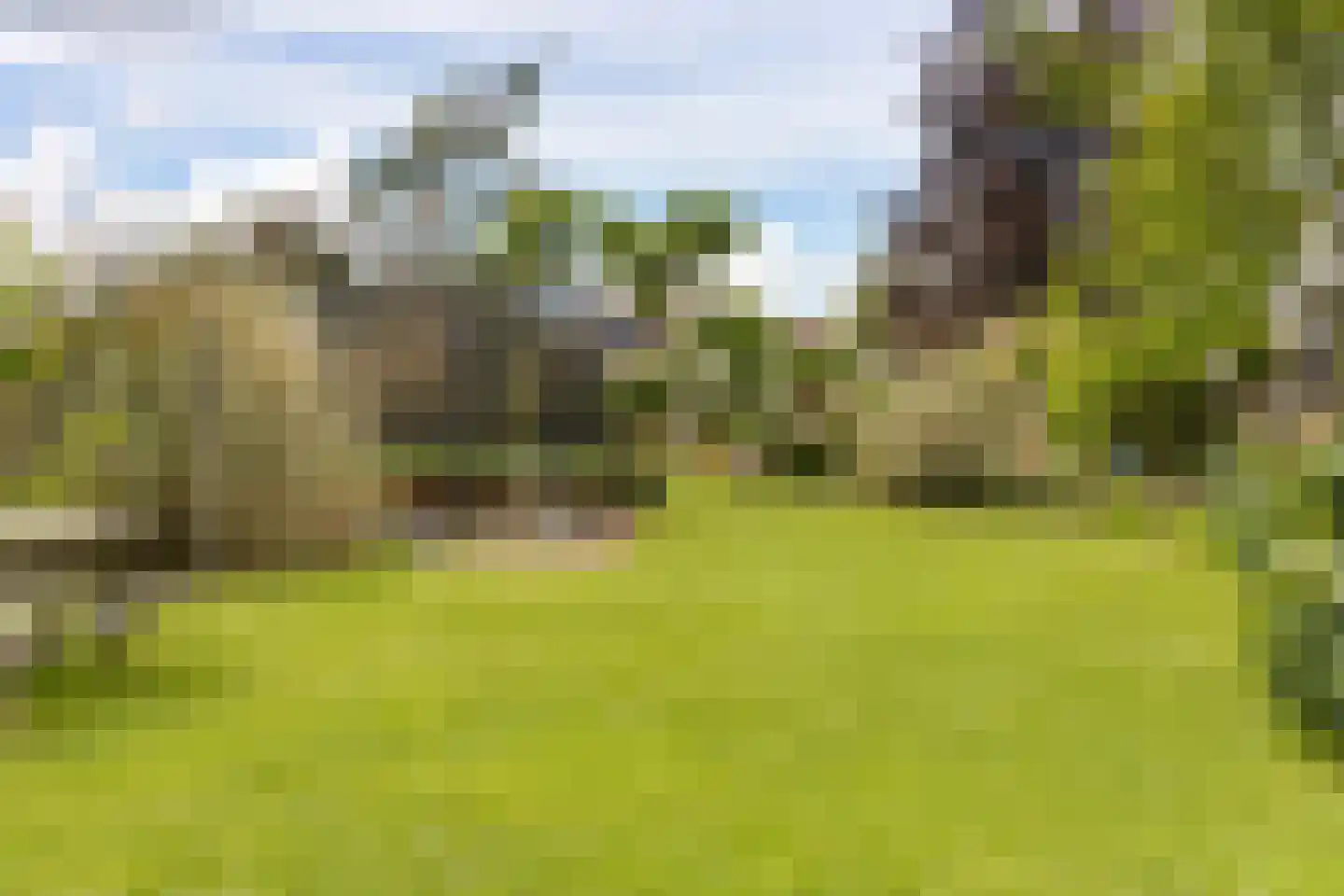 Merkebuorren 50 Wijnjewoude thumbnail 42