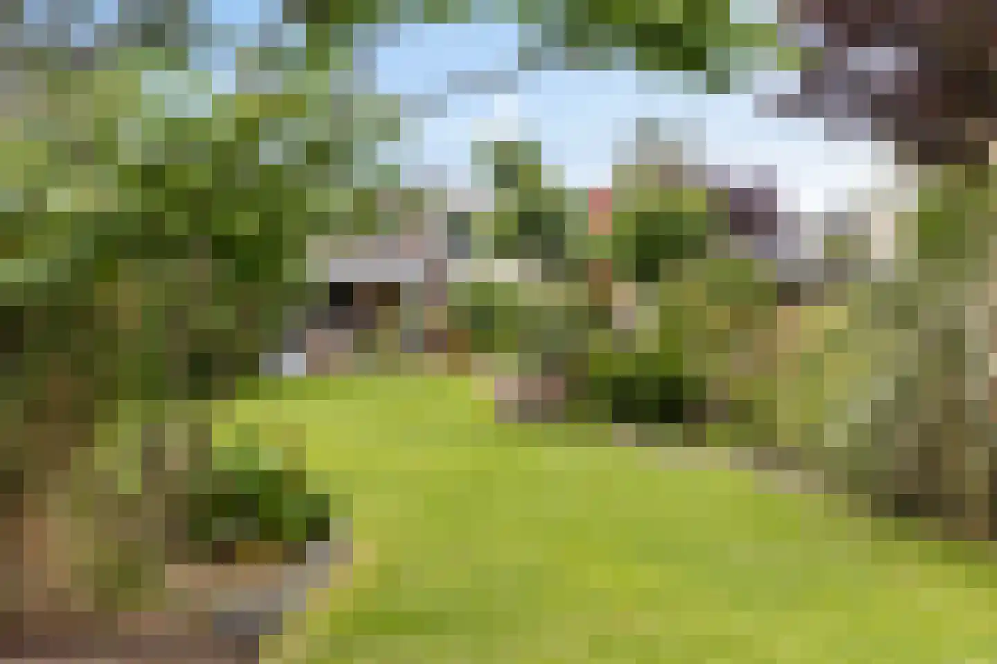 Merkebuorren 50 Wijnjewoude thumbnail 43