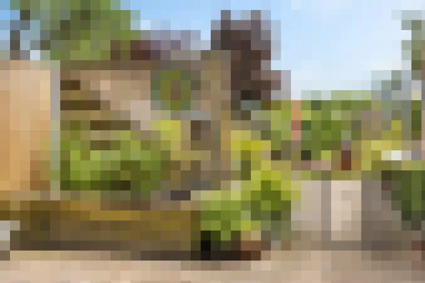 Merkebuorren 50 Wijnjewoude thumbnail 47