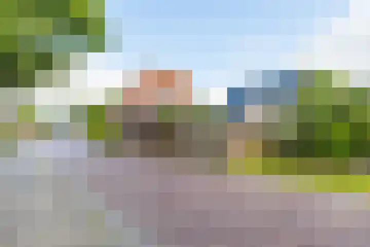 Merkebuorren 56 Wijnjewoude thumbnail 10