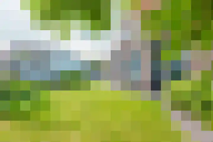 Merkebuorren 56 Wijnjewoude thumbnail 12