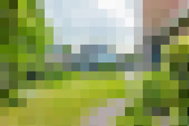 Merkebuorren 56 Wijnjewoude thumbnail 13
