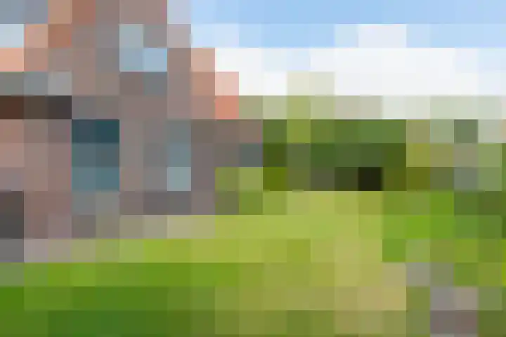 Merkebuorren 56 Wijnjewoude thumbnail 14