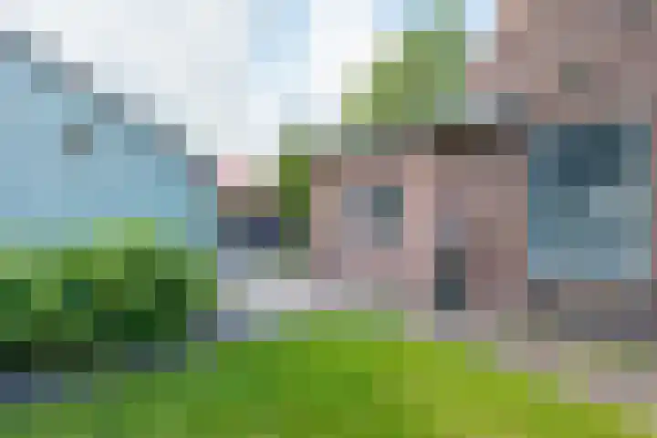 Merkebuorren 56 Wijnjewoude thumbnail 15