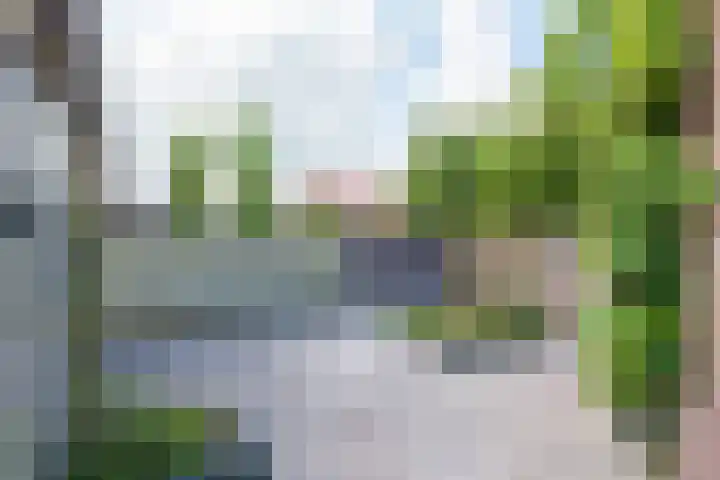 Merkebuorren 56 Wijnjewoude thumbnail 16