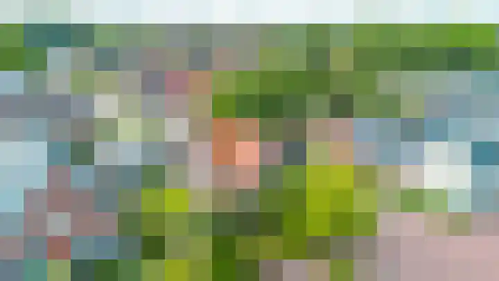 Merkebuorren 56 Wijnjewoude thumbnail 18