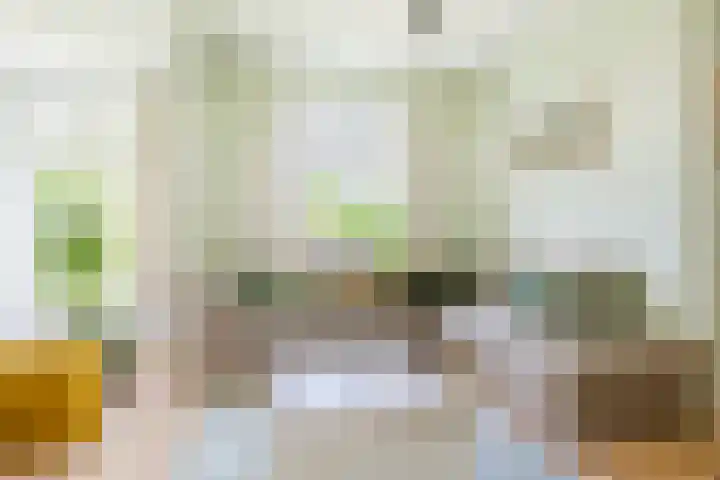 Merkebuorren 56 Wijnjewoude thumbnail 20