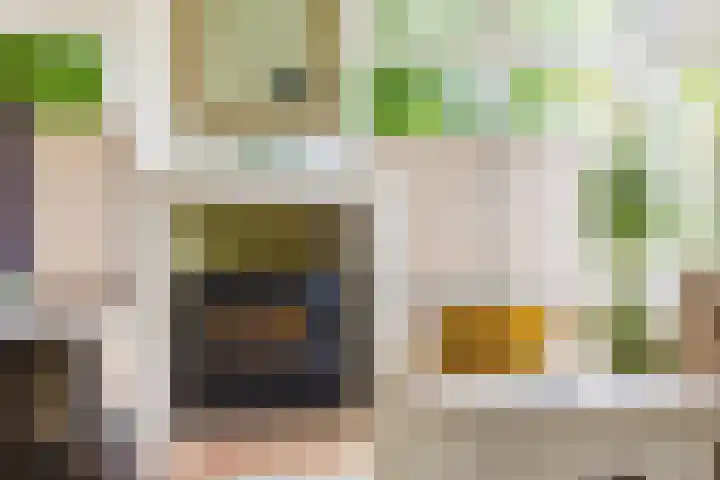 Merkebuorren 56 Wijnjewoude thumbnail 21