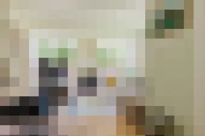 Merkebuorren 56 Wijnjewoude thumbnail 24