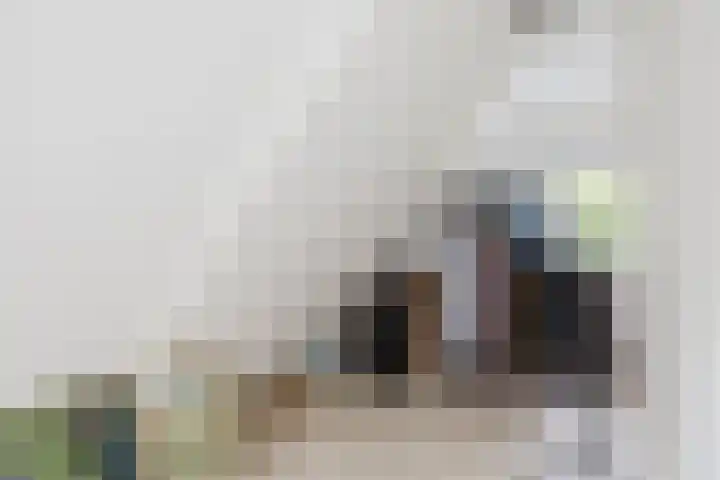 Merkebuorren 56 Wijnjewoude thumbnail 41