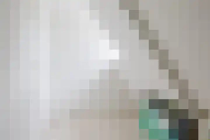 Merkebuorren 56 Wijnjewoude thumbnail 42