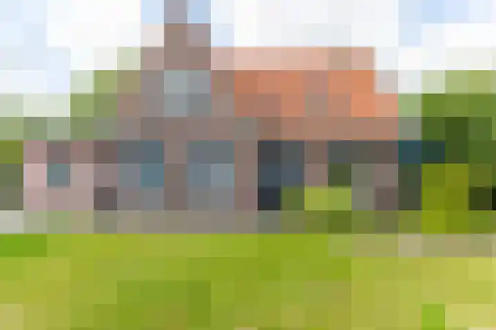 Merkebuorren 56 Wijnjewoude thumbnail 8