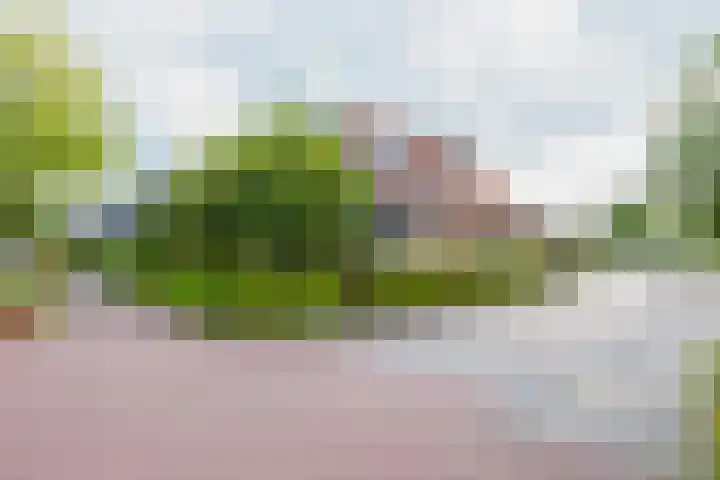 Merkebuorren 56 Wijnjewoude thumbnail 9