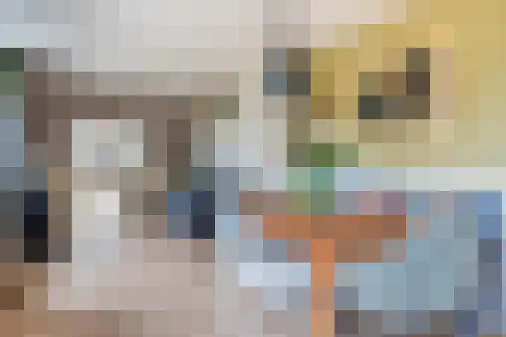 Merkebuorren 69 Wijnjewoude thumbnail 21