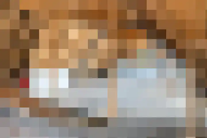 Merkebuorren 69 Wijnjewoude thumbnail 26