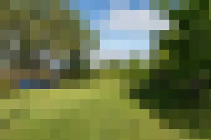 Merkebuorren 69 Wijnjewoude thumbnail 30