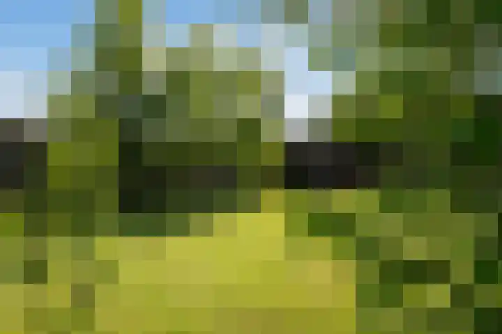 Merkebuorren 69 Wijnjewoude thumbnail 31