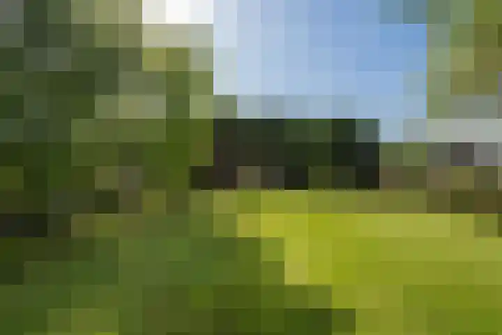 Merkebuorren 69 Wijnjewoude thumbnail 32