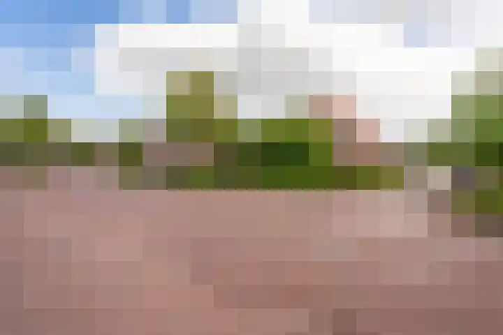 Merkebuorren 69 Wijnjewoude thumbnail 38