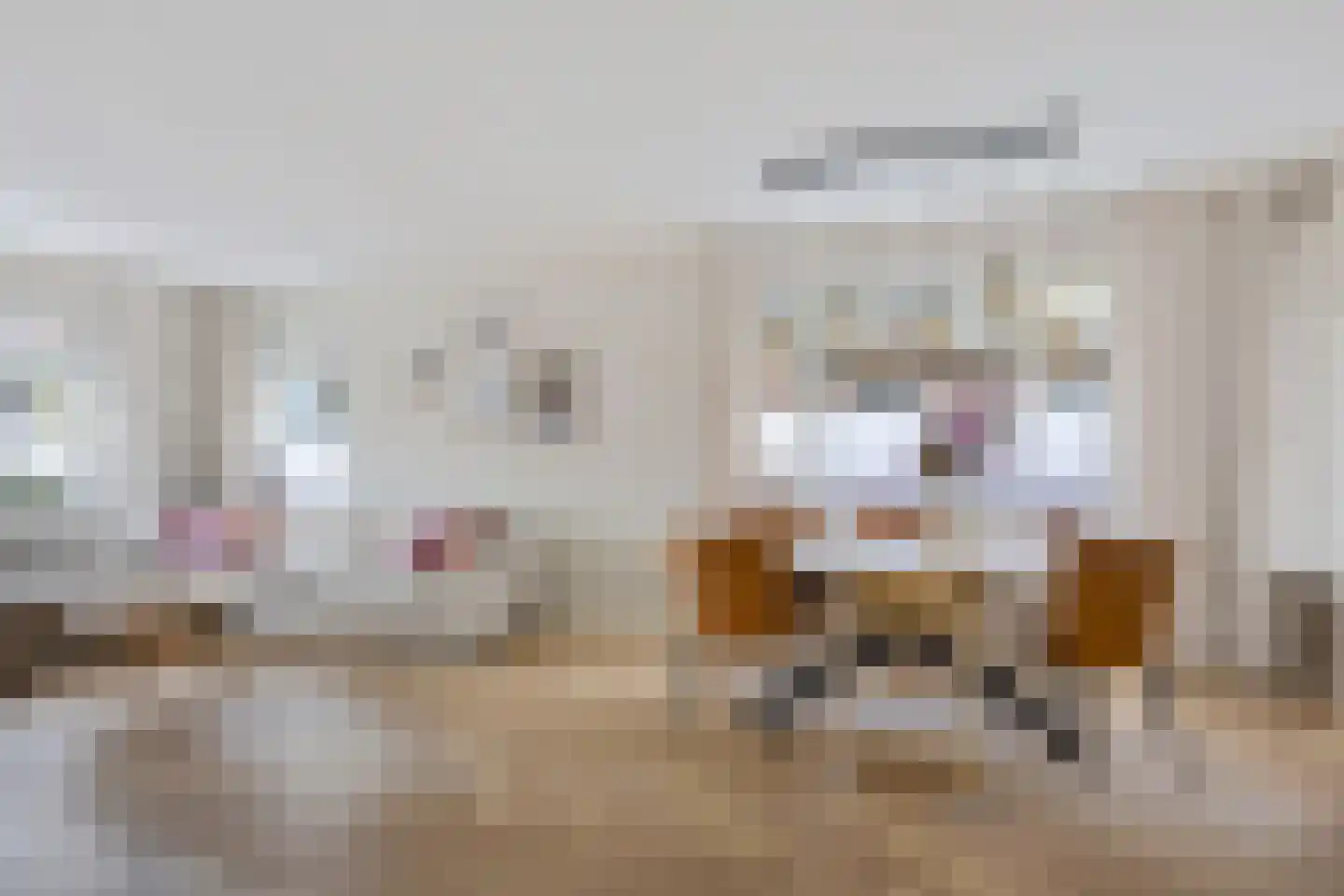 Merkebuorren 73 Wijnjewoude thumbnail 10