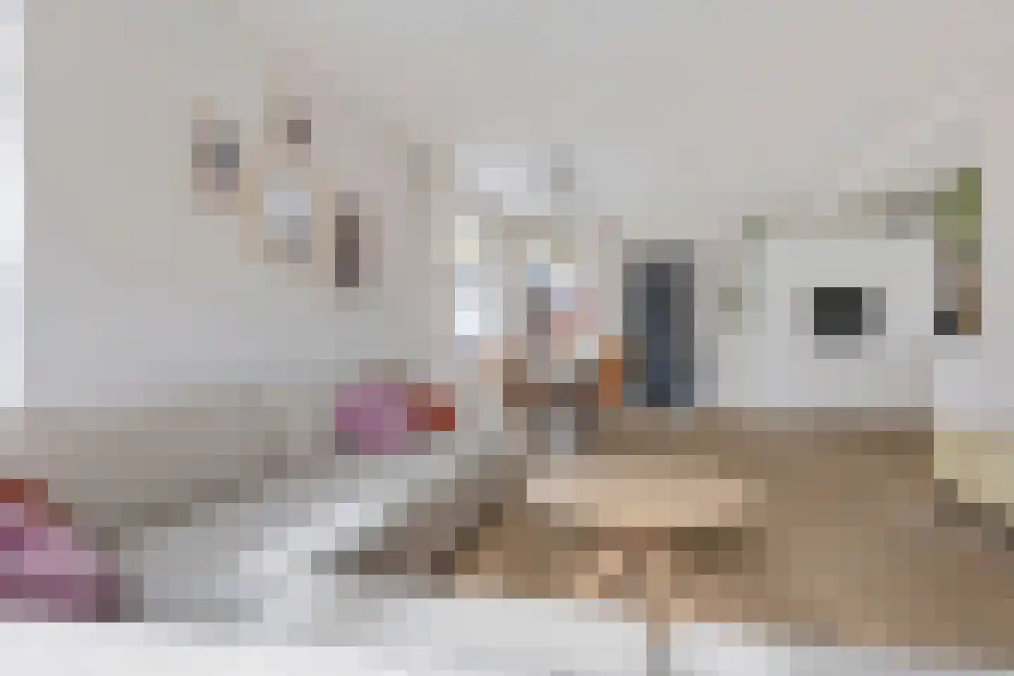 Merkebuorren 73 Wijnjewoude thumbnail 11