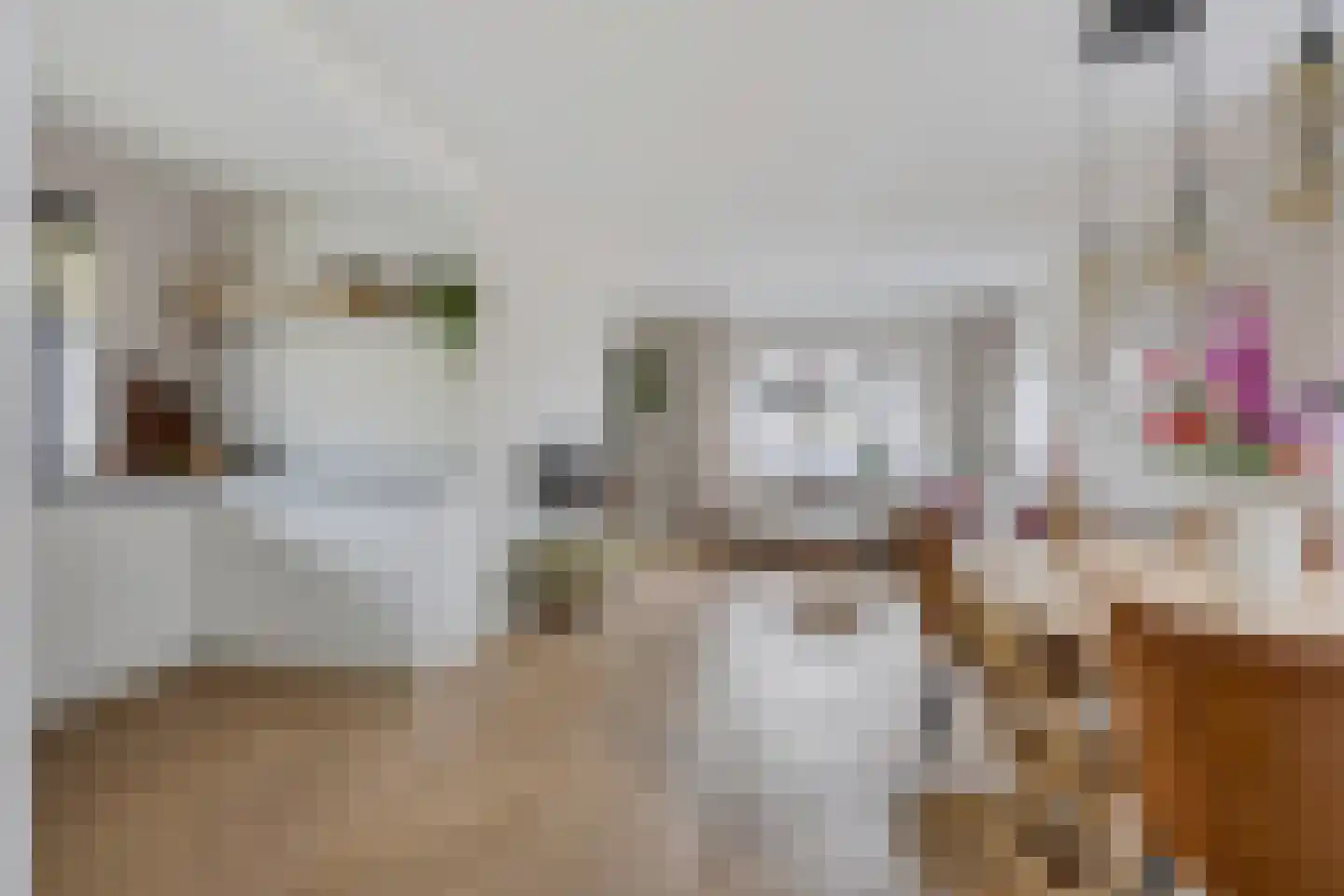 Merkebuorren 73 Wijnjewoude thumbnail 12