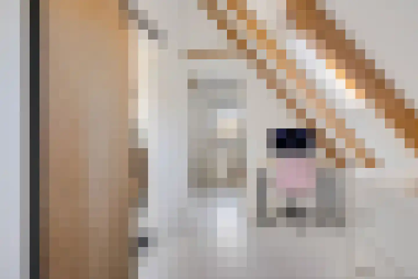 Merkebuorren 73 Wijnjewoude thumbnail 21