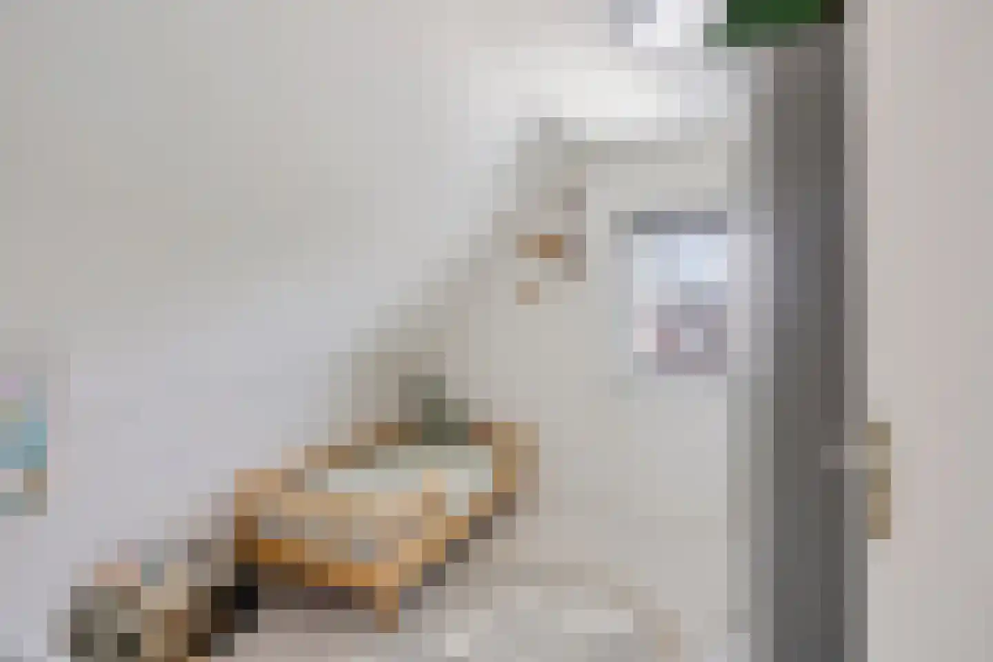 Merkebuorren 73 Wijnjewoude thumbnail 29
