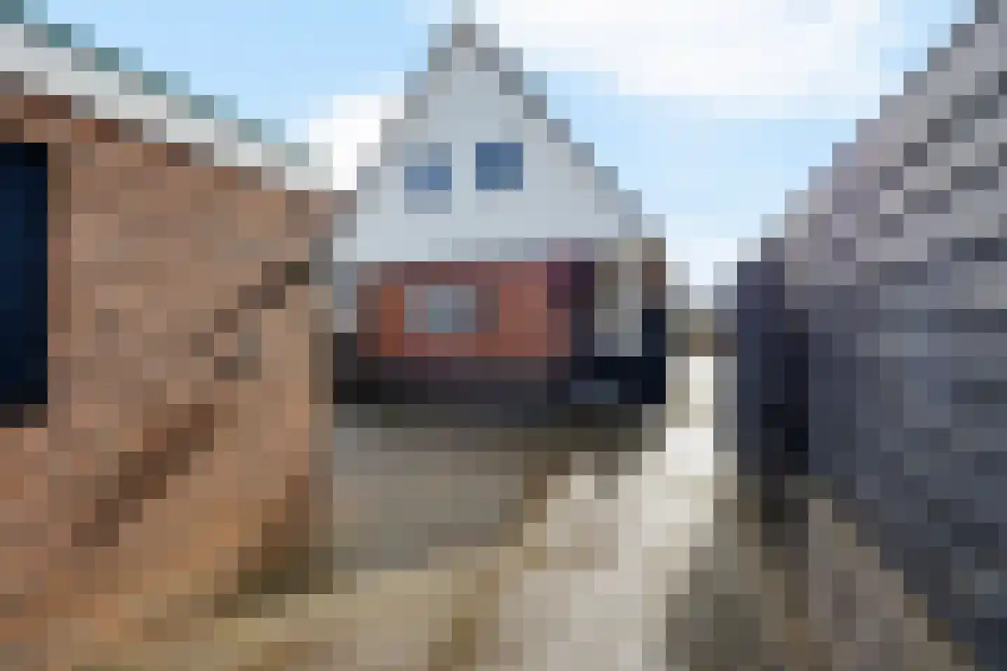 Merkebuorren 73 Wijnjewoude thumbnail 42