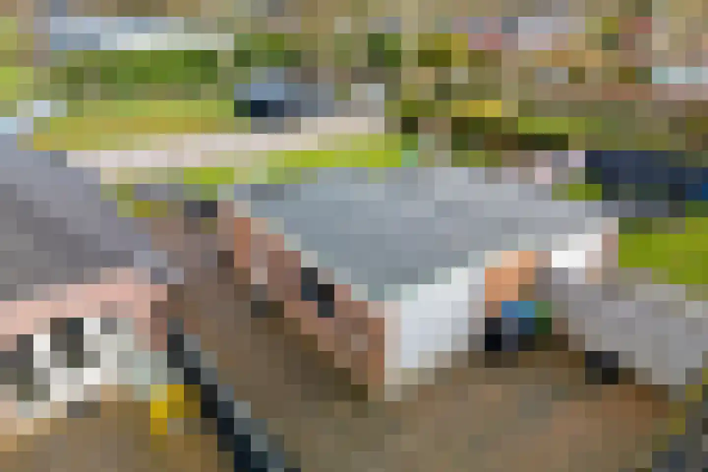 Merkebuorren 73 Wijnjewoude thumbnail 48