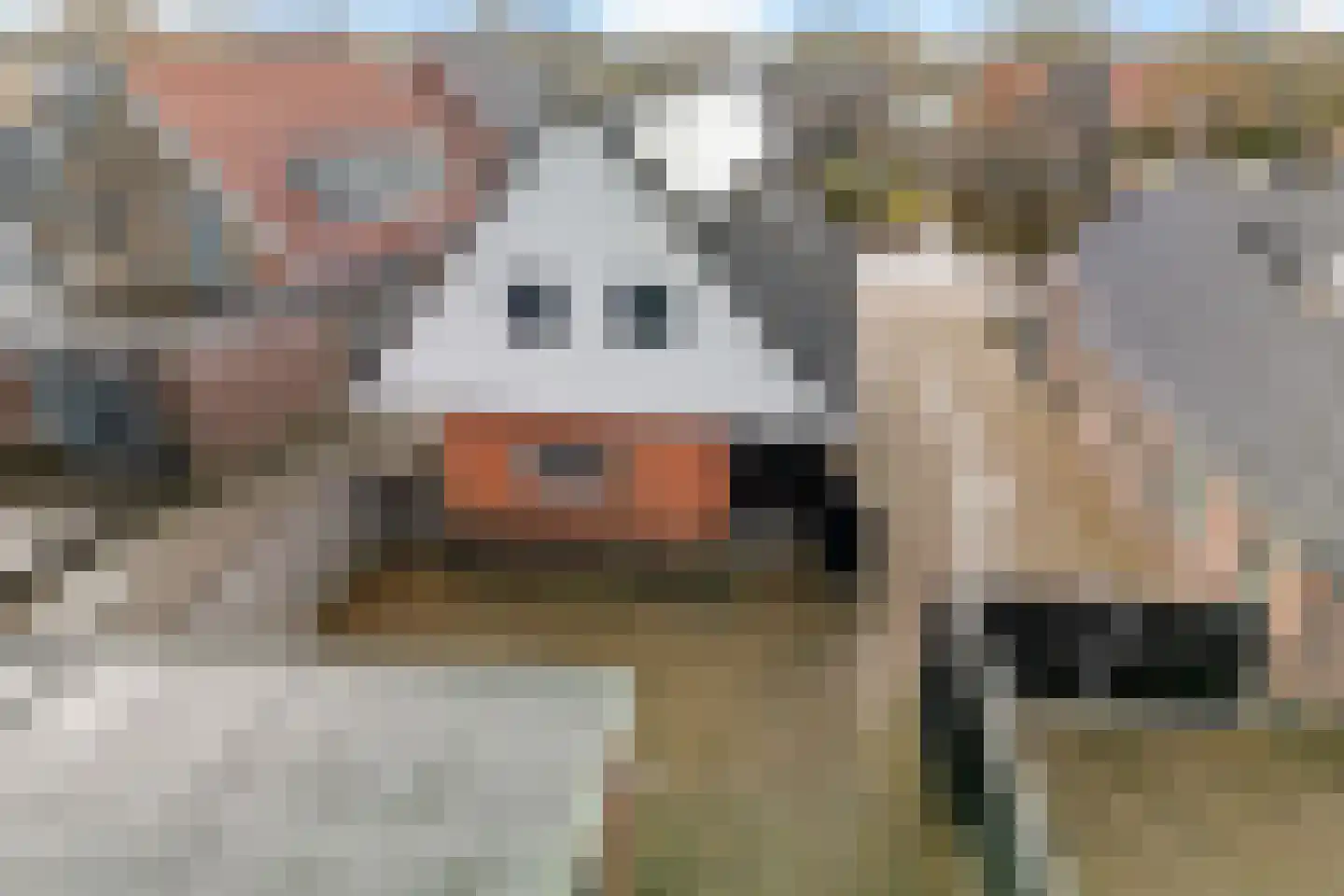 Merkebuorren 73 Wijnjewoude thumbnail 49