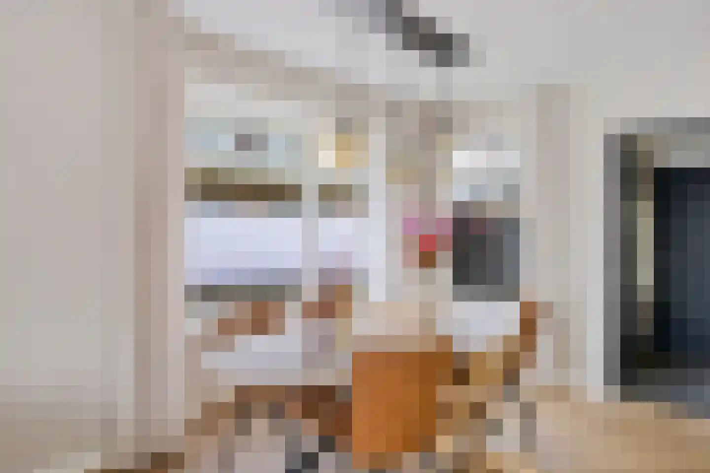 Merkebuorren 73 Wijnjewoude thumbnail 5