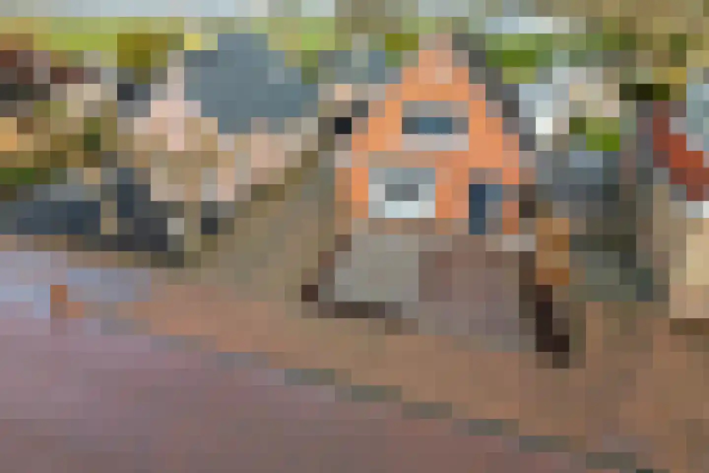 Merkebuorren 73 Wijnjewoude thumbnail 52