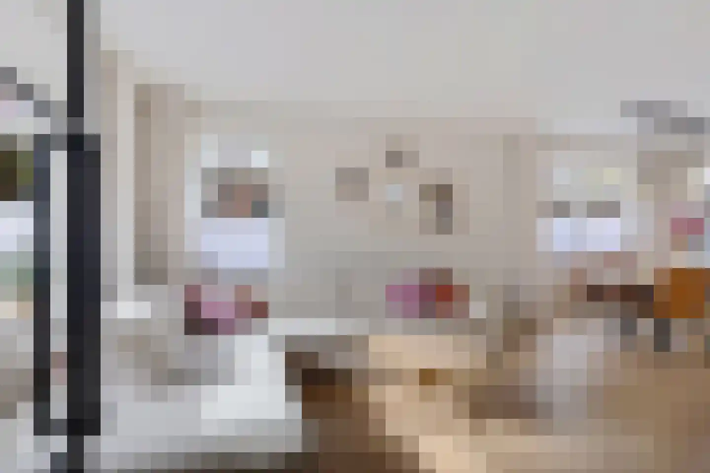 Merkebuorren 73 Wijnjewoude thumbnail 7