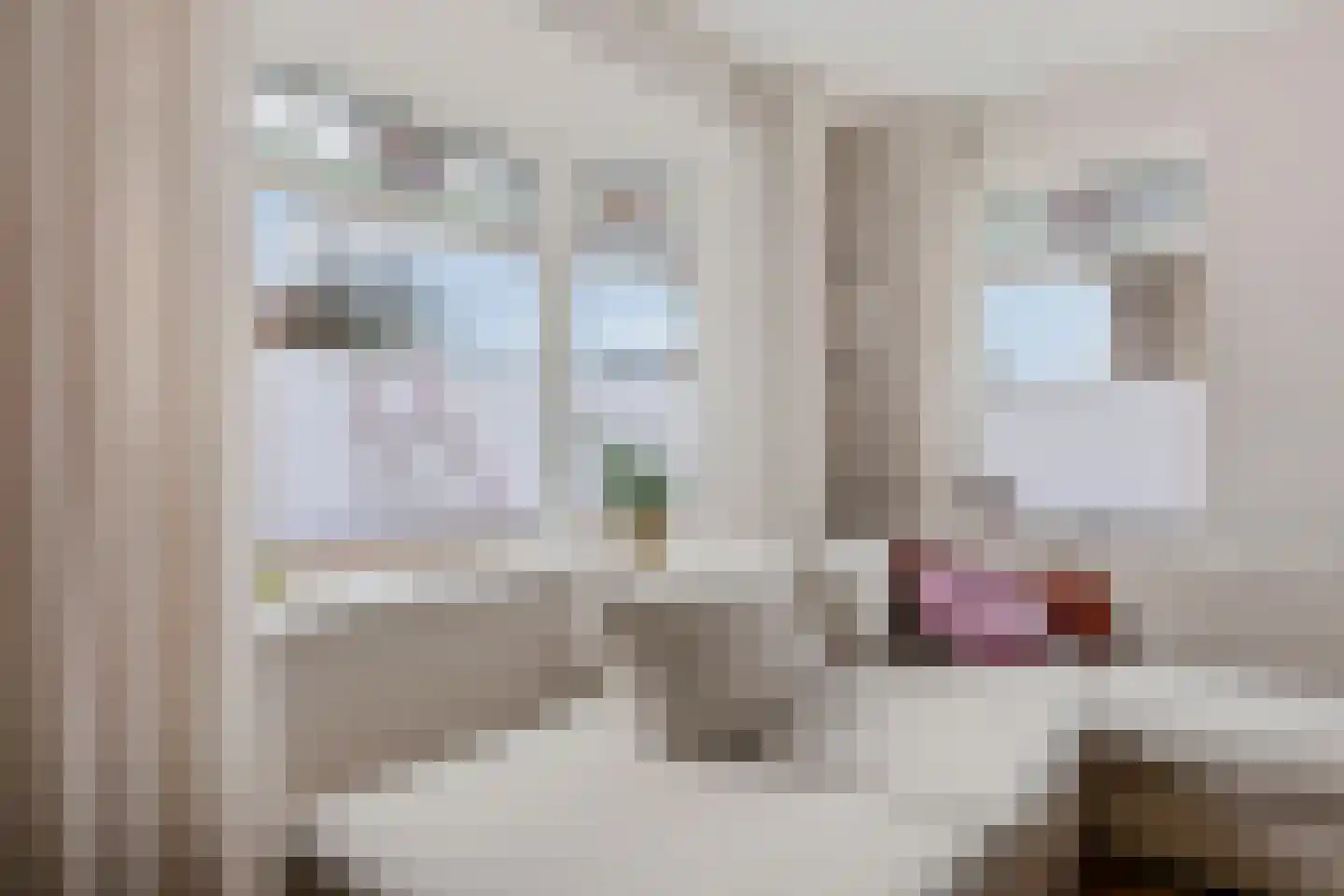 Merkebuorren 73 Wijnjewoude thumbnail 8
