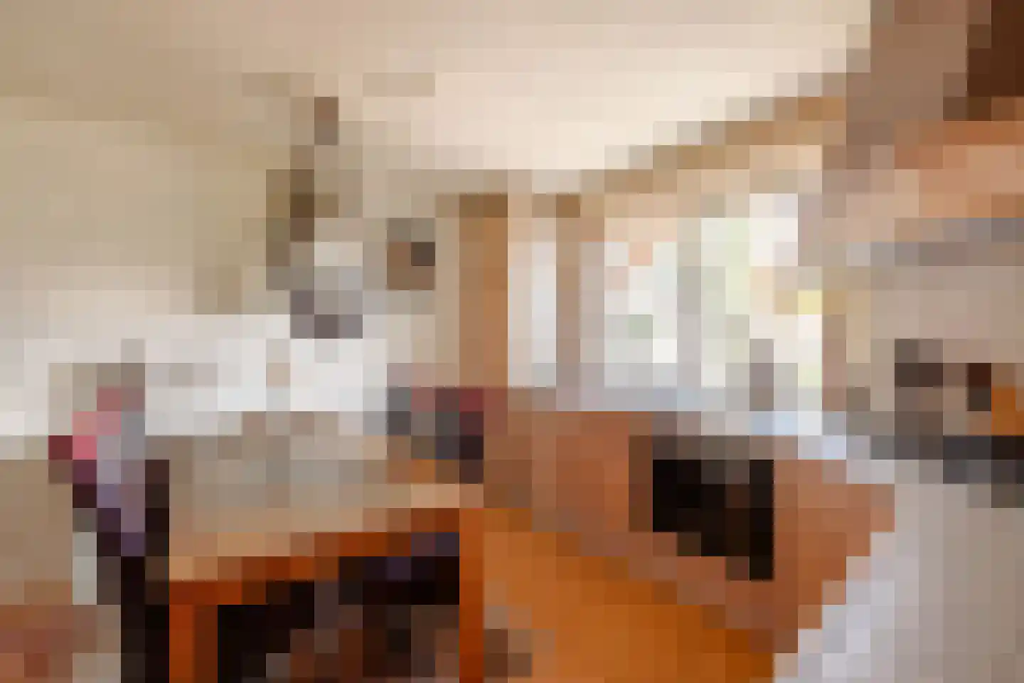 Merkelân 20 Witmarsum thumbnail 12