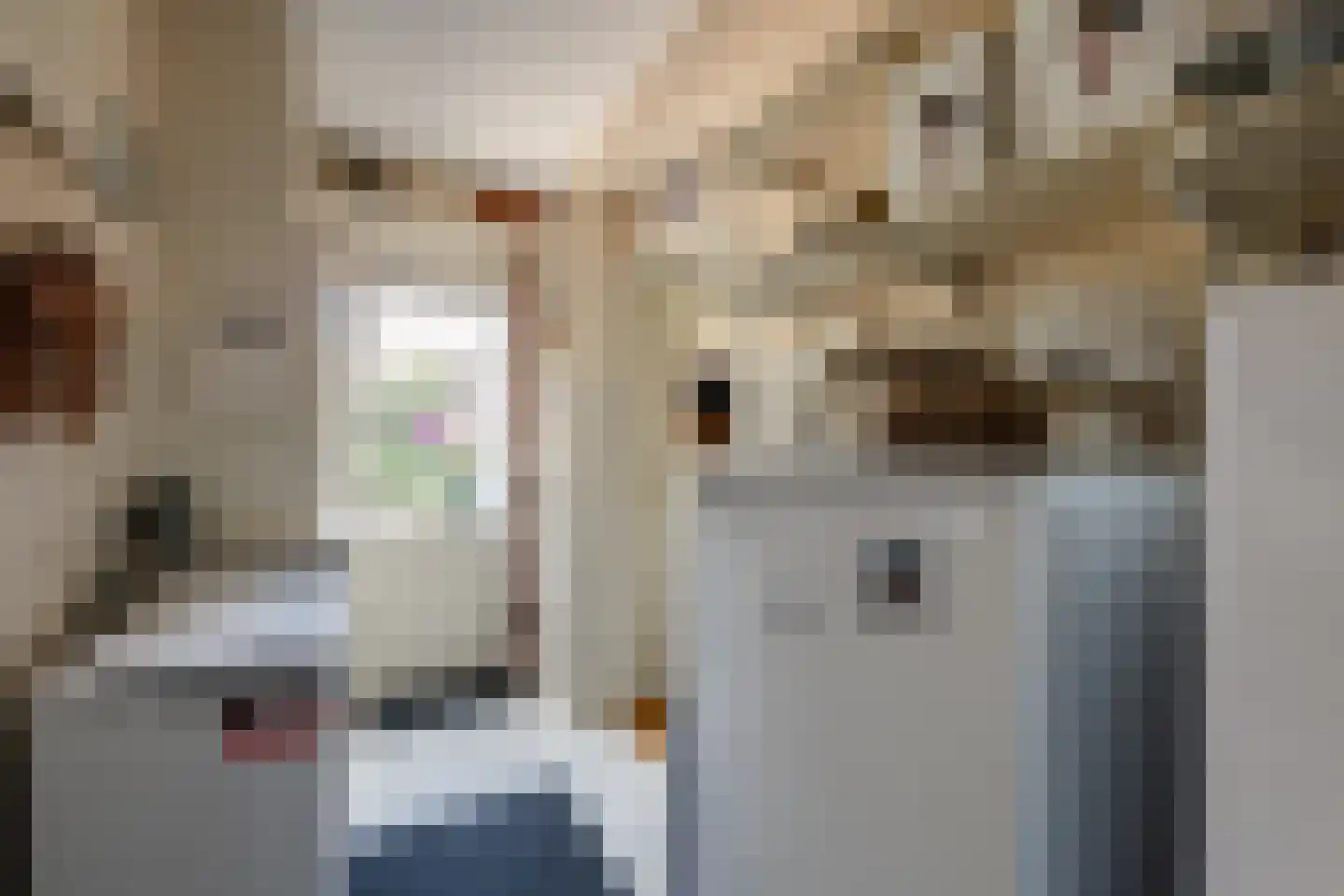 Merkelân 20 Witmarsum thumbnail 14