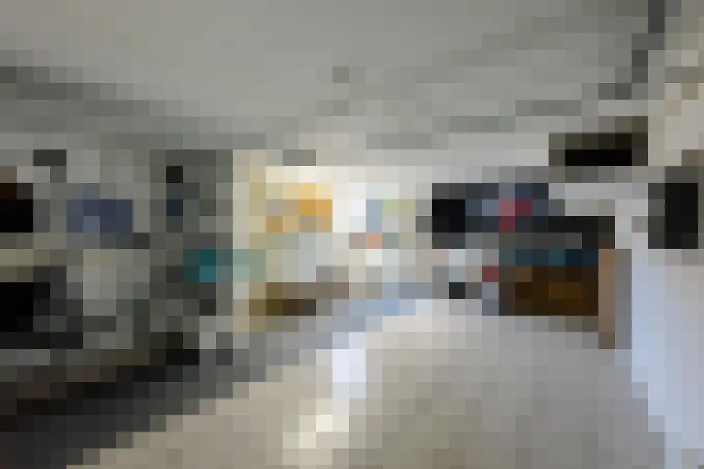 Merkelân 20 Witmarsum thumbnail 15