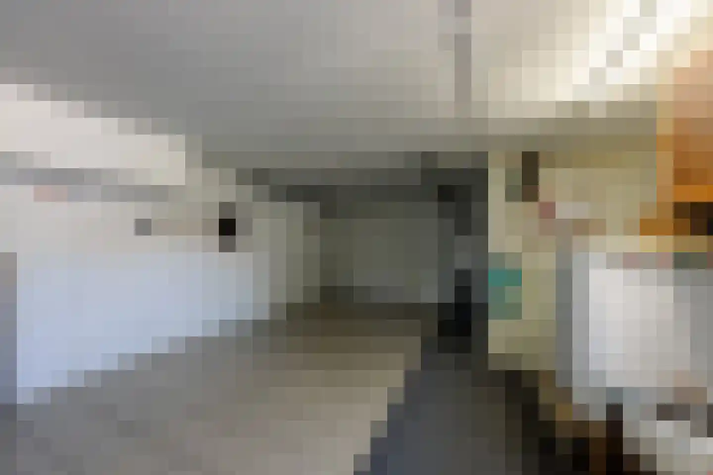 Merkelân 20 Witmarsum thumbnail 16