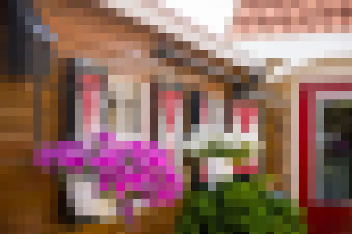 Merkelân 20 Witmarsum thumbnail 18
